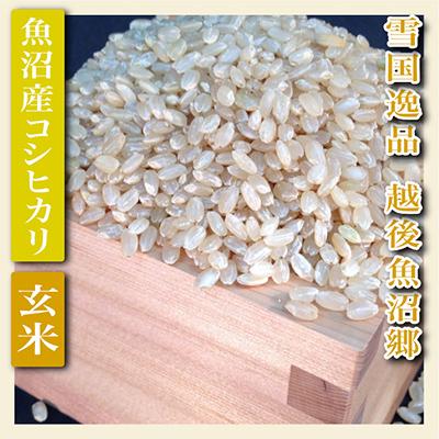 （新品,未開封） ふるさと納税 魚沼市 【毎月定期便】【雪国逸品 玄米10Kg】越後魚沼郷 魚沼産コシヒカリ全12回 【DGJ3476562322】(126720円)