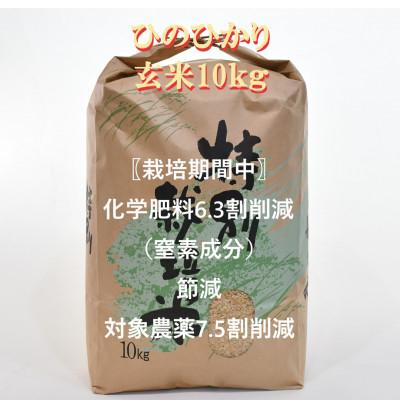 ふるさと納税 諫早市 [毎月定期便]特別栽培米・九州のこだわり米「ひのひかり 」玄米10kg全3回