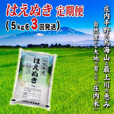 ふるさと納税 酒田市 [毎月定期便]山形県の米どころ庄内平野で育った庄内米 はえぬき5kgを3ケ月連続全3回