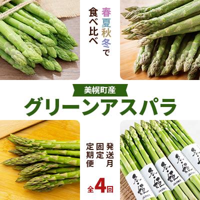 ふるさと納税 美幌町 [発送月固定定期便]美幌町産 グリーンアスパラ &lt;春夏秋冬で食べ比べアスパラ定期便&gt;全4回