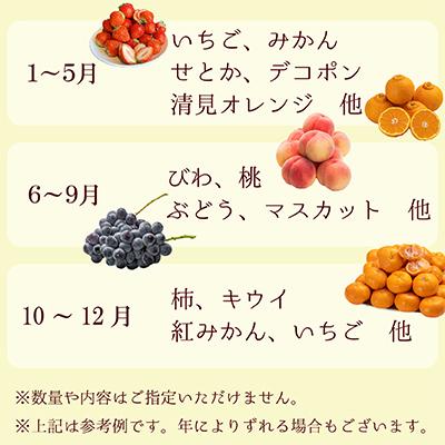 ふるさと納税 坂出市 【毎月定期便】旬を見極めた厳選フルーツ詰合せ【満月コース】(5〜8品)全6回｜y-sf｜03