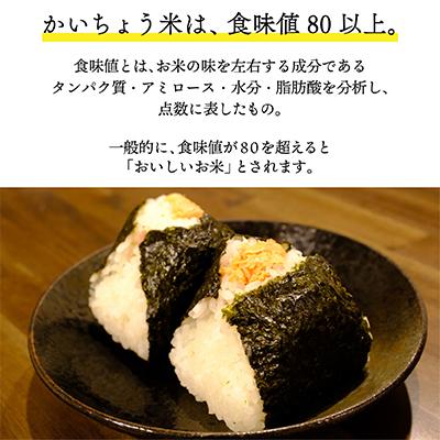 ふるさと納税 柳津町 【幸せ食感】奥会津産のおいしいお米と、和豚もちぶたの「米と肉!」セット【複数個口で配送】｜y-sf｜03