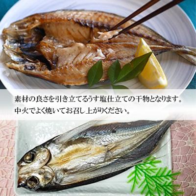 ふるさと納税 長崎市 【2ヵ月毎定期便】長崎五島灘一汐干し仕かける全6回