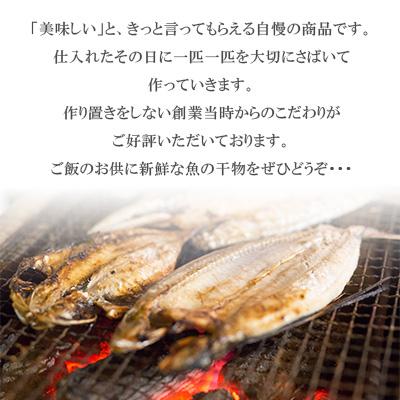 ふるさと納税 長崎市 【2ヵ月毎定期便】長崎五島灘一汐干し仕かける全6回