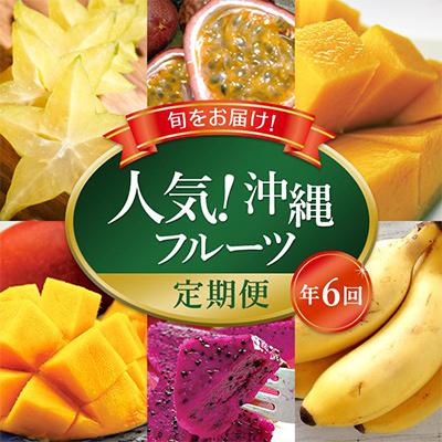 ふるさと納税 豊見城市 [発送月固定定期便]人気!沖縄フルーツ定期便全6回