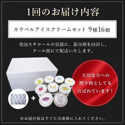 ふるさと納税 大樹町 【毎月定期便】カウベルアイスクリーム9種16個セット 新鮮濃厚ミルク 北海道産素材　全6回