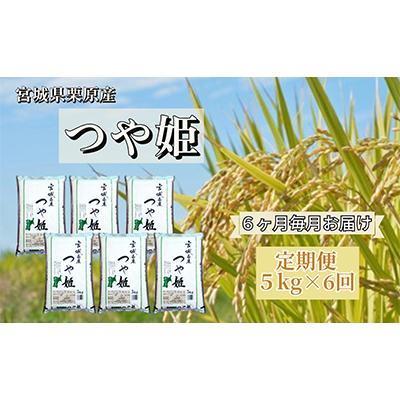 ふるさと納税 栗原市 [毎月定期便]宮城県栗原産 つや姫 白米 5kg 全6回