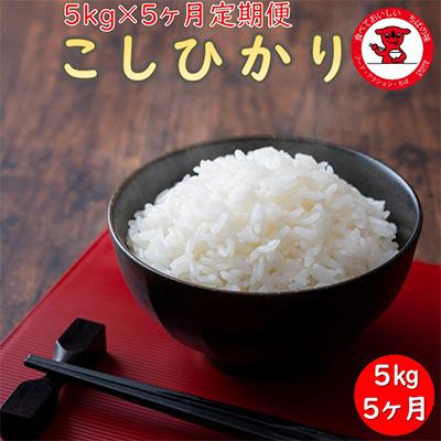 ふるさと納税 銚子市 [毎月定期便]千葉県産コシヒカリ 5kg×5ヶ月定期便全5回