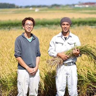 ふるさと納税 五泉市 【毎月定期便】令和5年産 わくわく農場の新潟県五泉産コシヒカリ5kg 全3回｜y-sf｜02