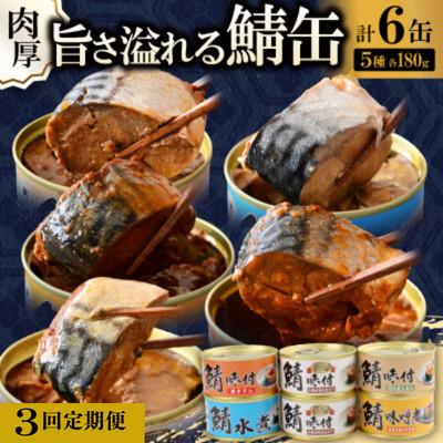 ふるさと納税 小浜市 [2ヵ月毎定期便]鯖缶詰6缶 A(醤油・唐辛子・生姜・噌煮煮・水煮)全3回