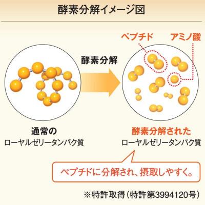 ふるさと納税 津山市 【毎月定期便】酵素分解ローヤルゼリーキング (560)全6回｜y-sf｜03