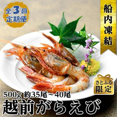 ふるさと納税 若狭町 [毎月定期便][さとふる限定]越前ガラエビ 500g(約35〜40尾)全3回