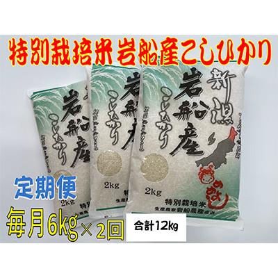ふるさと納税 村上市 [毎月定期便]特別栽培米新潟県岩船産コシヒカリ6kg(2kg×3袋) 全2回