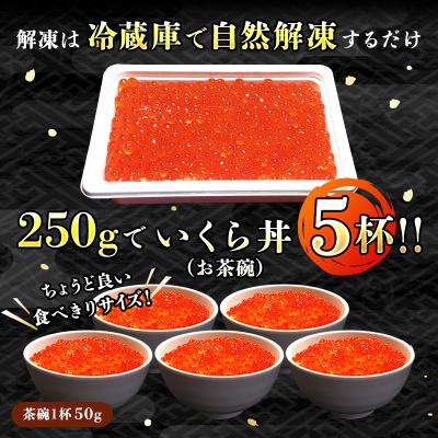 ふるさと納税 釧路町 【毎月定期便】いくら醤油漬け250g×1個<北海道産の鮭卵>全4回｜y-sf｜02