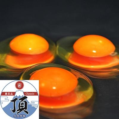 ふるさと納税 御殿場市 [発送月固定定期便]御殿たまご[赤]20個+破損保障4個 6個入モウルドパック×4P全12回