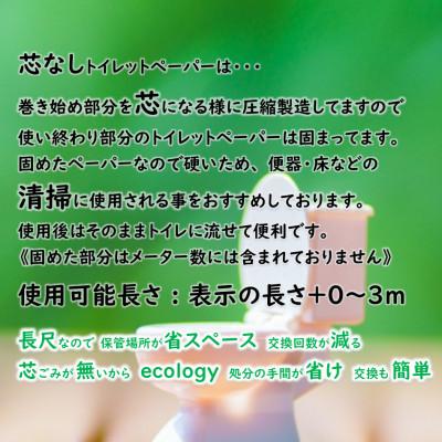 ふるさと納税 美濃市 【3ヵ月毎定期便】芯なしトイレットペーパー【天使の時間】110m 12R×6袋全4回の画像