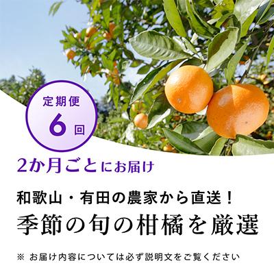 ふるさと納税 上富田町 【発送月固定定期便】季節の柑橘定期便B【フルーツ定期便】【和歌山県有田】全6回｜y-sf｜02