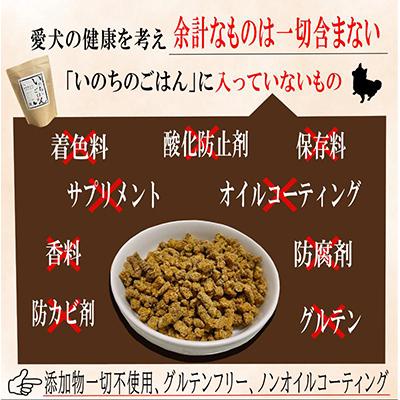 ふるさと納税 泉佐野市 【毎月定期便】国産 無足し加える ドッグフード「いのちのごはん」1kg×全3回