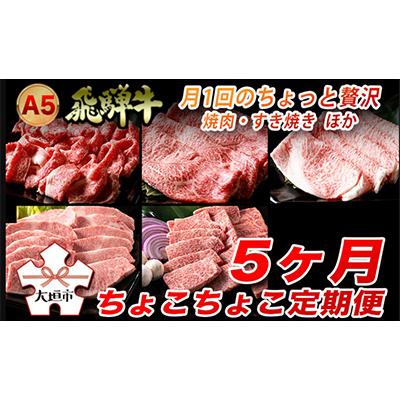 ふるさと納税 大垣市 [毎月定期便]A5飛騨牛 5ヵ月ちょこちょこお届け(焼肉・すき焼き ほか)全5回