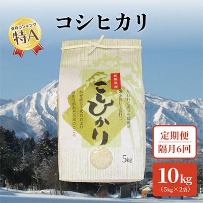 ふるさと納税 上越市 [2ヵ月毎定期便]標高200mで育てた棚田米|新潟上越・従来種コシヒカリ精米10k(5×2)全6回