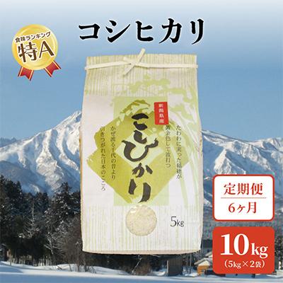 ふるさと納税 上越市 [毎月定期便]標高200mで育てた棚田米|新潟上越中郷産・従来種コシヒカリ精米10k(5×2)全6回