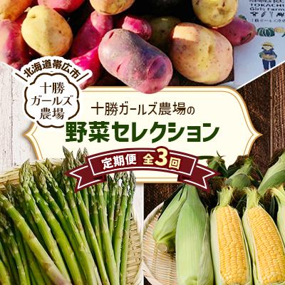 ふるさと納税 帯広市 [発送月固定定期便]直送![北海道の定番便]十勝ガールズ農場の野菜セレクション全3回