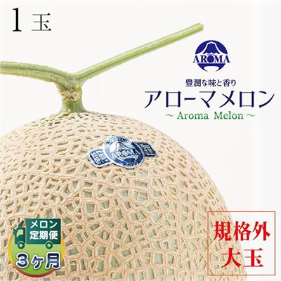 ふるさと納税 掛川市 [毎月定期便]アローマメロン規格外大玉 1玉 全3回