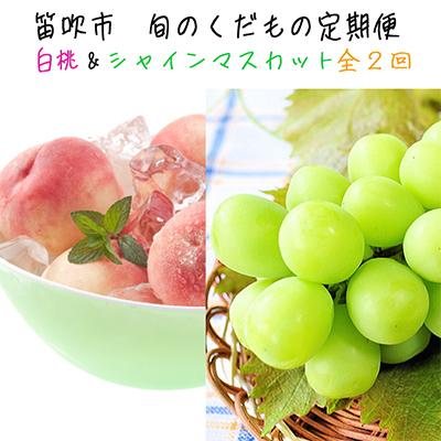 ふるさと納税 笛吹市 [発送月固定定期便]ふえふき旬のフルーツ定期便(桃・シャインマスカット)[S]全2回