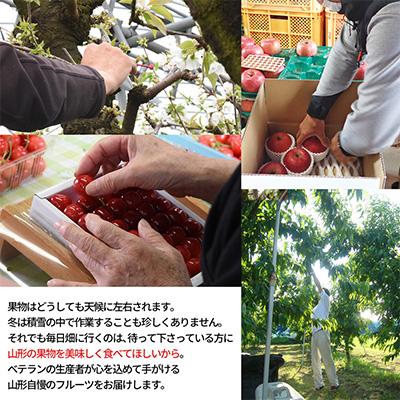 ふるさと納税 山形県 【発送月固定定期便】山形の夏から冬まで楽しむスーパーコース(すいか、白桃、黄桃、洋梨、りんご)全5回｜y-sf｜04