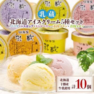 ふるさと納税 帯広市 [2ヵ月毎定期便]「乳蔵」北海道アイスクリーム5種10個[110130]全3回