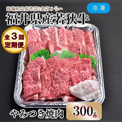 ふるさと納税 勝山市 [毎月定期便] 福井県内産若狭牛やみつき焼肉(300g)全3回