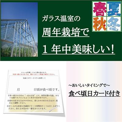 ふるさと納税 森町 【毎月定期便】クラウンメロン(白等級) 1玉 全3回【森町SF】｜y-sf｜04