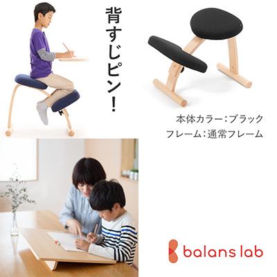 ふるさと納税 美濃市 バランスイージー 通常[ブラック]+イージーライティングボードM[複数個口で配送]