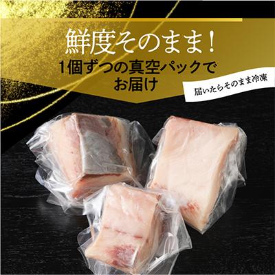 ふるさと納税 延岡市 【毎月定期便】大和ブリの剥き身 約600g 全6回