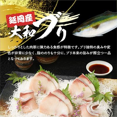 ふるさと納税 延岡市 【毎月定期便】大和ブリの剥き身 約600g 全6回