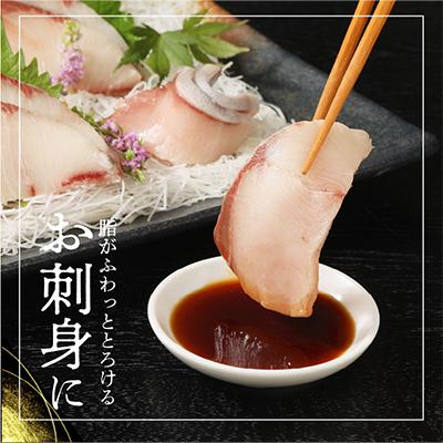 ふるさと納税 延岡市 【毎月定期便】大和ブリの剥き身 約600g 全6回