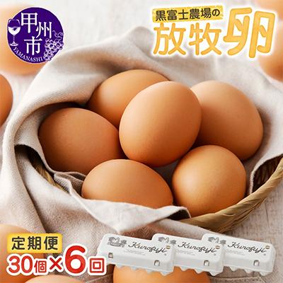 ふるさと納税 甲州市 [毎月定期便]放牧卵 30個(10個×3パック)[F-501]全6回