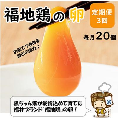 ふるさと納税 あわら市 [毎月定期便]福井ブランド「福地鶏」の卵 20個 濃厚で甘くておいしい!全3回