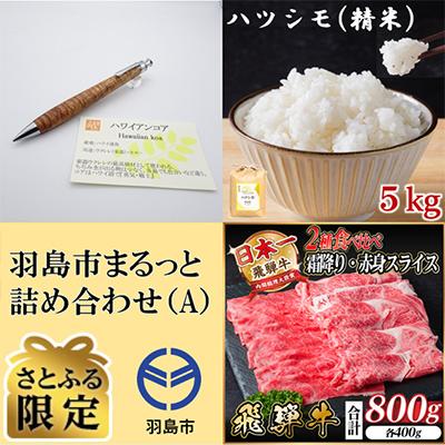 ふるさと納税 羽島市 [さとふる限定]羽島市まるっと詰め合わせA ペンシル・ハツシモ・飛騨牛[複数個口で配送]