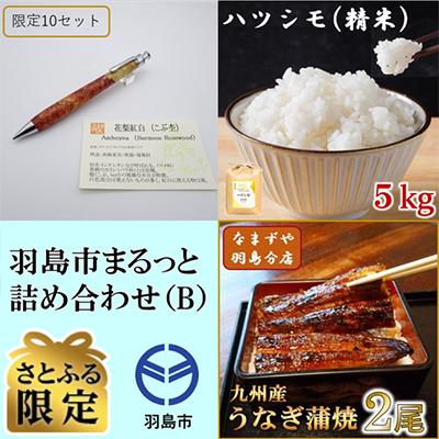 ふるさと納税 羽島市 [さとふる限定]羽島市まるっと詰め合わせB ペンシル・ハツシモ・九州産うなぎ蒲焼[複数個口で配送]