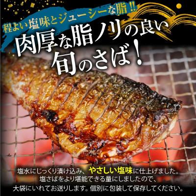 ふるさと納税 湯浅町 【毎月定期便】【ご家庭用訳あり】人気の塩さばフィレ\u0026紅鮭切身セット計2kg全3回の画像