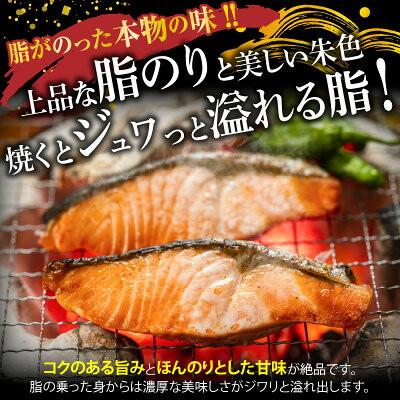 ふるさと納税 湯浅町 【毎月定期便】【ご家庭用訳あり】人気の塩さばフィレ\u0026紅鮭切身セット計2kg全3回の画像