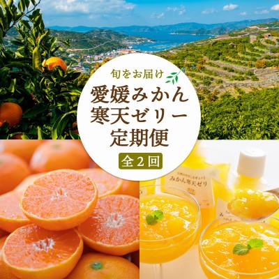 ふるさと納税 八幡浜市 [発送月固定定期便]愛媛みかん&amp;みかん寒天ゼリー ミヤモトオレンジガーデン[E25-159]全2回