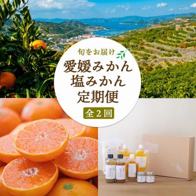 ふるさと納税 八幡浜市 [発送月固定定期便]愛媛みかん&amp;新しい調味料 塩みかんセット[F25-162]全2回