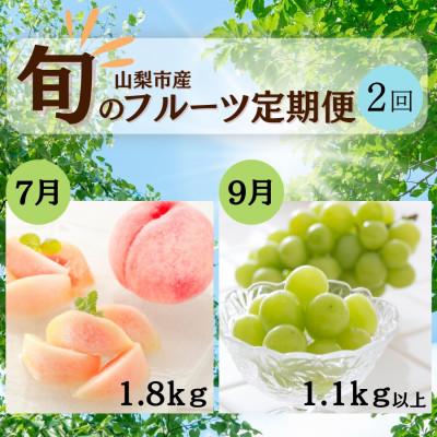 ふるさと納税 山梨市 [発送月固定定期便]山梨夏の味覚定期便[桃 1.8kg/シャインマスカット 1.1kg以上]全2回