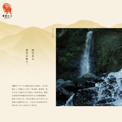 ふるさと納税 養老町 【毎月定期便】月替わりで色々な飛騨牛を楽しめる全12回_2