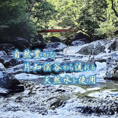 ふるさと納税 美濃市 【3ヵ月毎定期便】トイレットペーパー【長尺100m】60ロール 青ラベル全4回の画像
