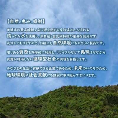 ふるさと納税 美濃市 【3ヵ月毎定期便】トイレットペーパー【長尺100m】60ロール 青ラベル全4回の画像