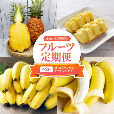 ふるさと納税 本部町 [発送月固定定期便]本部町産のフルーツ定期便(ゴールドバレル・アップルバナナ)全2回