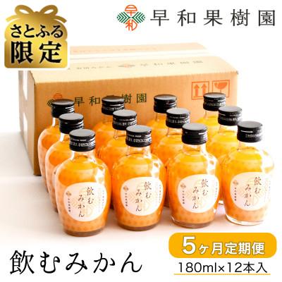 ふるさと納税 有田市 [毎月定期便][さとふる限定]早和果樹園 飲むみかん180ml×12本入 全5回